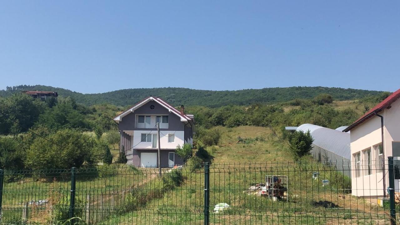 Апартаменты Lidia House Алба-Юлия Экстерьер фото