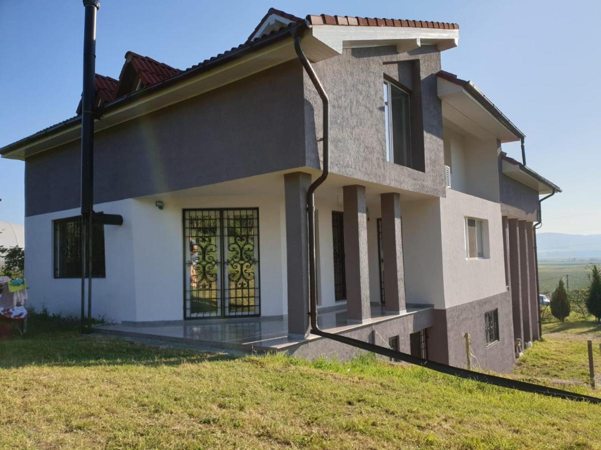 Апартаменты Lidia House Алба-Юлия Экстерьер фото